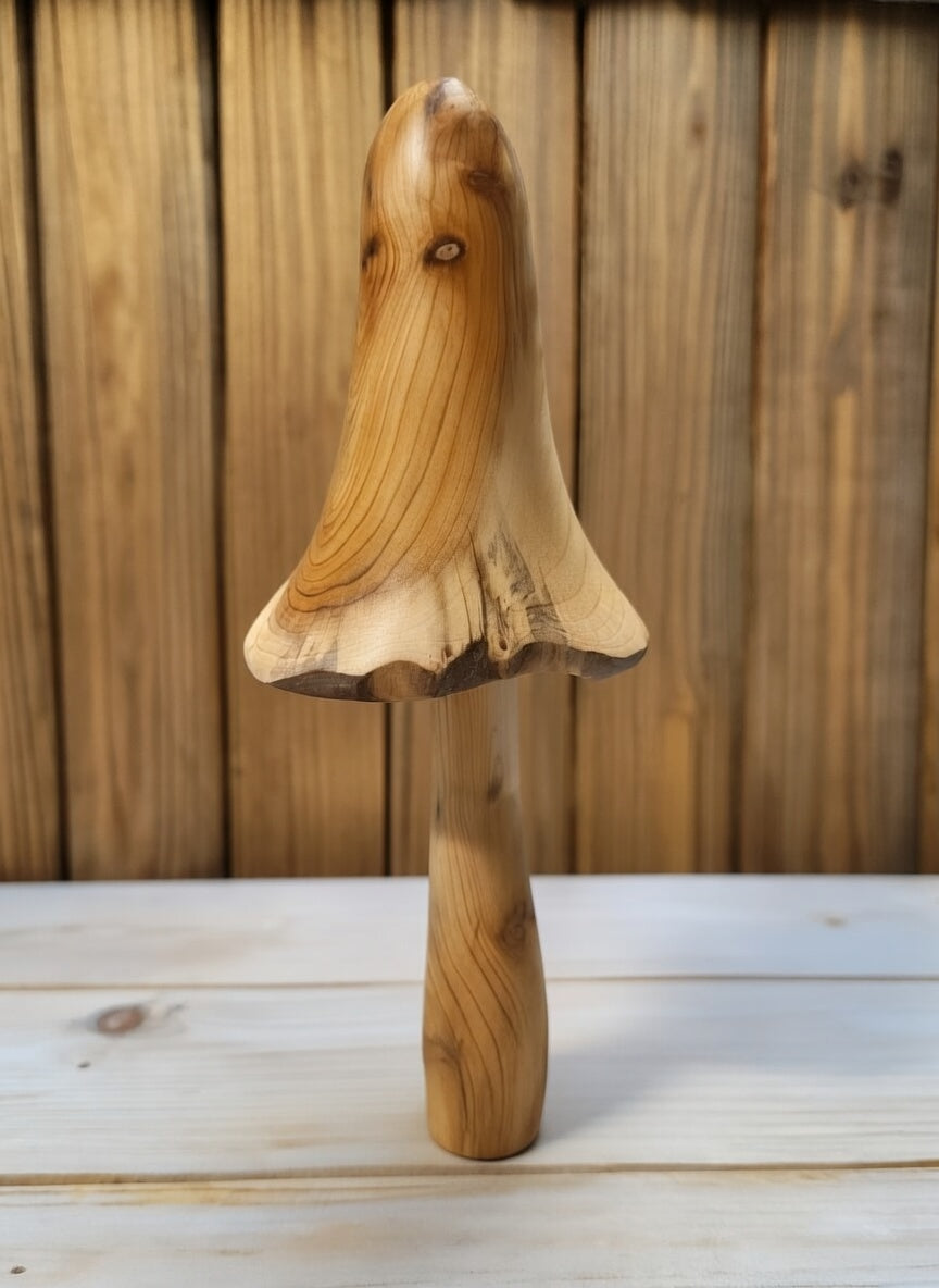 Waldgeister / Forest Spirits